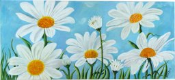 Margherite in prato / Daisies in the field